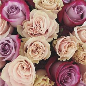 Meet your Posher, Wendy